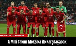 A Milli Takım Hazırlık Maçında Meksika ile Karşılaşacak