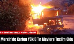 Mersin'de Karton Yüklü Tır Alevlere Teslim Oldu