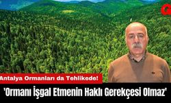 'Ormanı İşgal Etmenin Haklı Gerekçesi Olmaz'