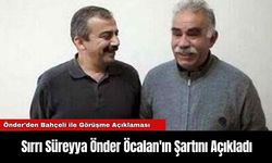 Sırrı Süreyya Önder Öcalan'ın Şartını Açıkladı