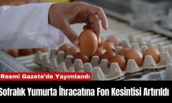 Sofralık Yumurta İhracatına Fon Kesintisi Artırıldı