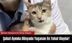 Şubat Ayında Dünyada Yaşanan En Tuhaf Olaylar!