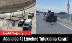 Adana’da At Eziyetine Tutuklama Kararı