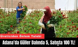 Adana’da Güller Dalında 5, Satışta 100 TL!