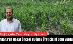 Adana’da Hasat Öncesi Buğday Üreticisini Dolu Vurdu!
