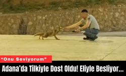 Adana’da Tilkiyle Dost Oldu! Eliyle Besliyor…