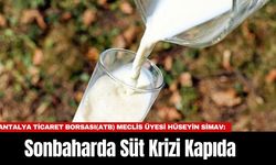 Sonbaharda Süt Krizi Kapıda