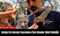 Antalya’da Annesiz Hayvanlara Özel Anneler Günü Etkinliği