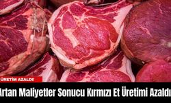 Artan Maliyetler Sonucu Kırmızı Et Üretimi Azaldı!