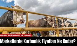 Marketlerde Kurbanlık Fiyatları Ne Kadar?