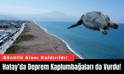Hatay’da Deprem Kaplumbağaları da Vurdu!