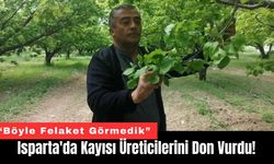 Isparta'da Kayısı Üreticilerini Don Vurdu!