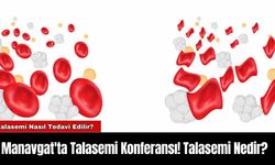 Manavgat'ta Talasemi Konferansı! Talasemi Nedir?