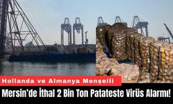 Mersin’de İthal 2 Bin Ton Patateste Virüs Alarmı!