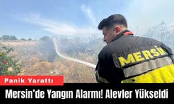 Mersin’de Yangın Alarmı! Alevler Yükseldi