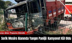 Serik Mesire Alanında Yangın Paniği: Kamyonet Kül Oldu