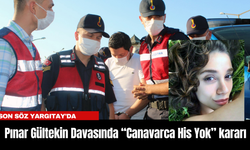 Pınar Gültekin Davasında “Canavarca His Yok” kararı... Son söz Yargıtay'da