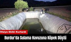 Burdur'da Sulama Havuzuna Köpek Düştü