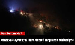 Çanakkale Ayvacık’ta Tarım Arazileri Yangınında Yeni Gelişme