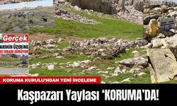 Kaşpazarı Yaylası ‘KORUMA’DA!