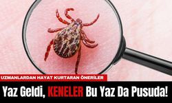 Yaz Geldi, KENELER Bu Yaz Da Pusuda! Uzmanlardan Hayat Kurtaran Öneriler