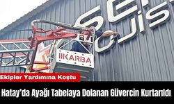 Hatay’da Ayağı Tabelaya Dolanan Güvercin Kurtarıldı