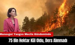 Manavgat Yangını Meclis Gündeminde: 75 Bin Hektar Kül Oldu, Ders Alınmadı