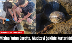 Antalya'da Misina Yutan Caretta, Mucizevi Şekilde Kurtarıldı!