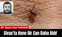 Sivas'ta Kene Bir Can Daha Aldı! Öl* Sayısı 6’ya Yükseldi!
