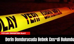 Tüyler Ürperten Olay: Derin Dondurucuda Bebek Ces*di Bulundu