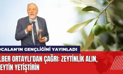 İlber Ortaylı'dan çağrı: Zeytinlik alın zeytin yetiştirin