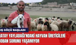 Hatay Yayladağı'ndaki hayvan üreticileri çoban sorunu yaşamıyor