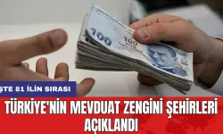 Türkiye'nin Mevduat Zengini Şehirleri Açıklandı: İşte 81 ilin sırası