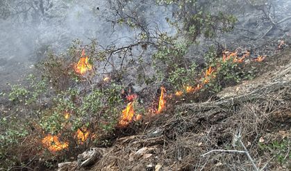 Alanya’da orman yangınında yaklaşık 10 dönüm zarar gördü