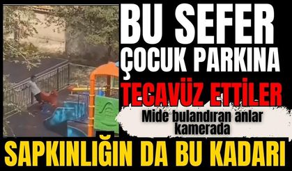 Skandal! Bir sığınmacı çocuk parkına tecavüz etti