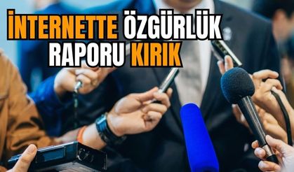 İnternette Özgürlük Raporumuz Kırık 