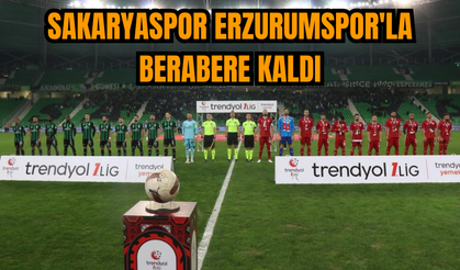 Sakaryaspor Erzurumspor'la berabere kaldı