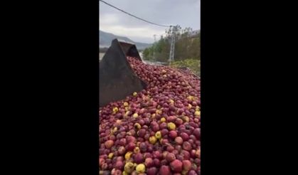 Elma suyu üretimi için toplanan elmaların görüntüsü gündem oldu