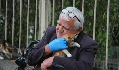 Antalya'nın Kedici Babası! Her gün 500'den fazla kedi besliyor