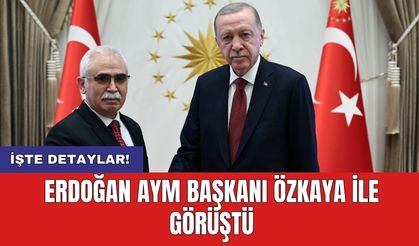 Erdoğan AYM Başkanı Özkaya ile görüştü