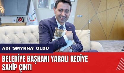 İzmir'de Bayraklı Belediye Başkanı yaralı kediye sahip çıktı! Adı Smyrna oldu