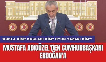 Mustafa Adıgüzel'den Cumhurbaşkanı Erdoğan'a: 'Kukla kim? Kuklacı kim? Oyun yazarı kim?'