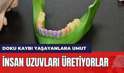 İnsan uzuvları üretiyorlar!