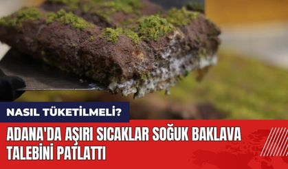 Adana'da aşırı sıcaklar soğuk baklava talebini patlattı! Soğuk baklava nasıl tüketilmeli?