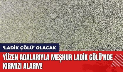 Yüzen adalarıyla meşhur Ladik Gölü'nde kırmızı alarm! Ladik çölü olacak