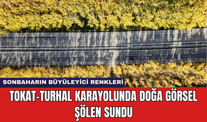 Tokat-Turhal Karayolunda Doğa Görsel Şölen Sundu