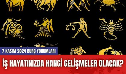 İş Hayatınızda Hangi Gelişmeler Olacak? 7 Kasım 2024 Burç Yorumları