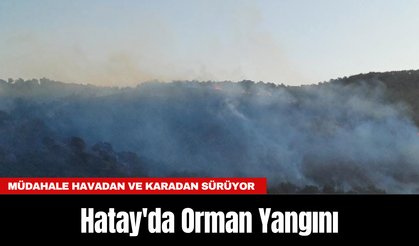 Hatay'da Orman Yangını: Kontrol altına alındı