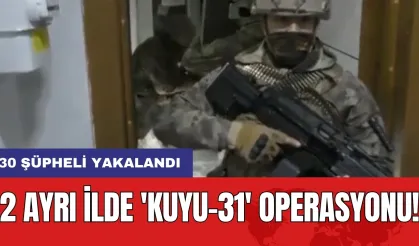 2 ayrı ilde 'Kuyu-31' Operasyonu: 30 Şüpheli Yakalandı