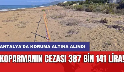 Koparmanın cezası 387 bin 141 lira! Antalya'da koruma altına alındı